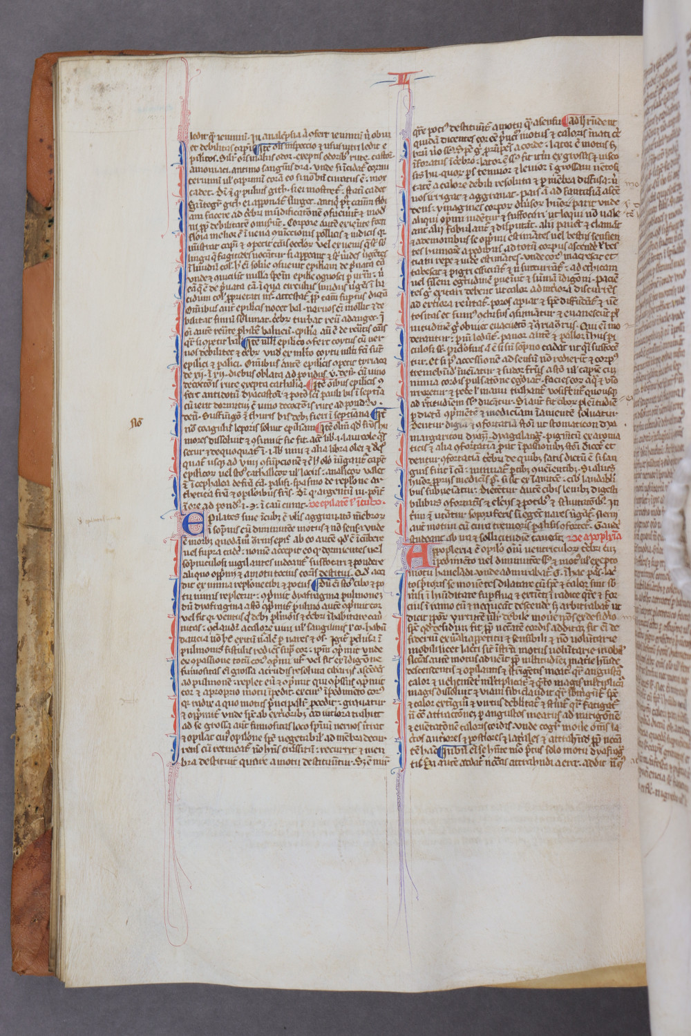 Folio 51 verso